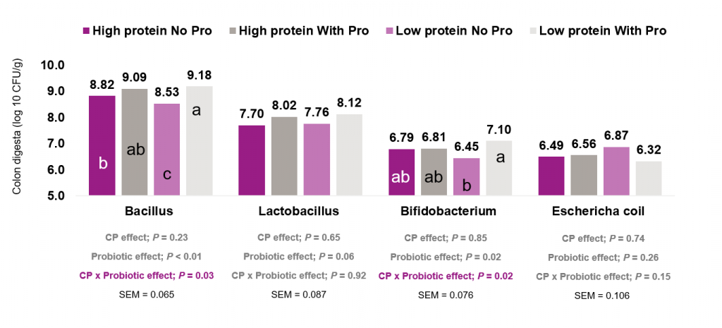 Nutritional strategies to optimize gut health and performance of weaned ...