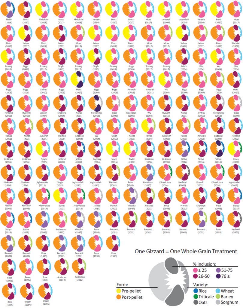 TOWARDS A BETTER UNDERSTANDING OF WHOLE GRAIN FEEDING REGIMES